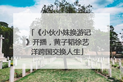 《小伙小妹换游记》开播，黄子韬徐艺洋跨国交换人生