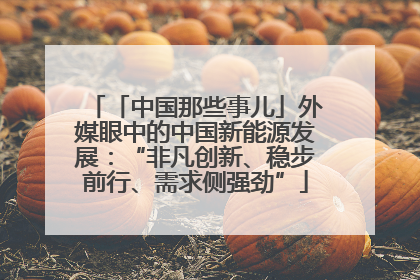 「中国那些事儿」外媒眼中的中国新能源发展：“非凡创新、稳步前行、需求侧强劲”