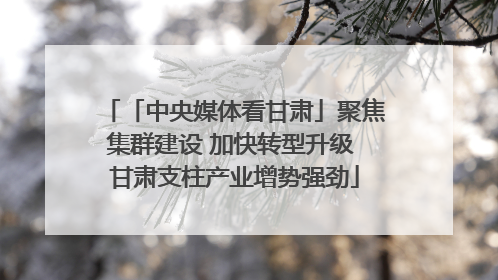 「中央媒体看甘肃」聚焦集群建设 加快转型升级 甘肃支柱产业增势强劲