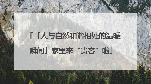 「人与自然和谐相处的温暖瞬间」家里来“贵客”啦