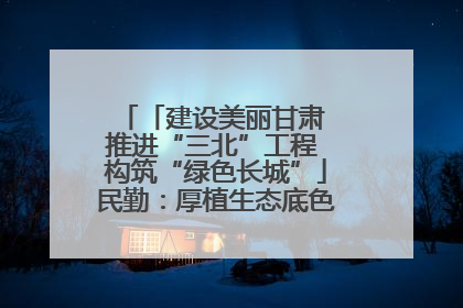 「建设美丽甘肃 推进“三北”工程 构筑“绿色长城”」民勤：厚植生态底色 筑牢绿色屏障