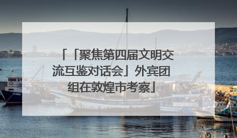 「聚焦第四届文明交流互鉴对话会」外宾团组在敦煌市考察