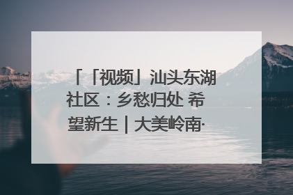 「视频」汕头东湖社区：乡愁归处 希望新生｜大美岭南·百村焕新记