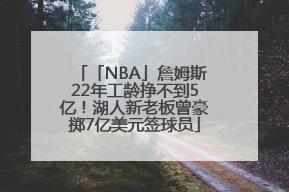 「NBA」詹姆斯22年工龄挣不到5亿！湖人新老板曾豪掷7亿美元签球员