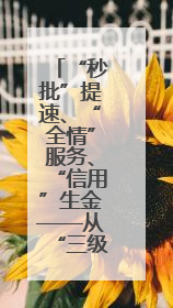 “秒批”提速、“全情”服务、“信用”生金——从“三级跳”看甘肃玉门市优化营商环境的进阶之路