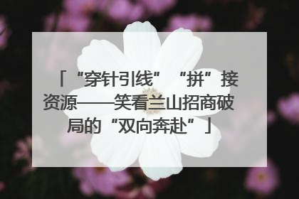“穿针引线”“拼”接资源——笑看兰山招商破局的“双向奔赴”