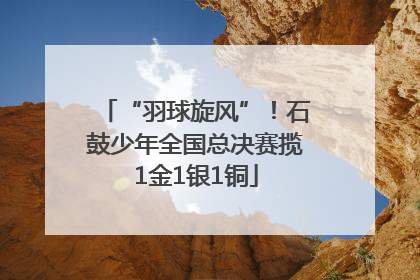 “羽球旋风”！石鼓少年全国总决赛揽1金1银1铜