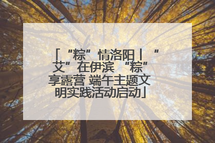 “粽”情洛阳丨“艾”在伊滨 “粽”享露营 端午主题文明实践活动启动