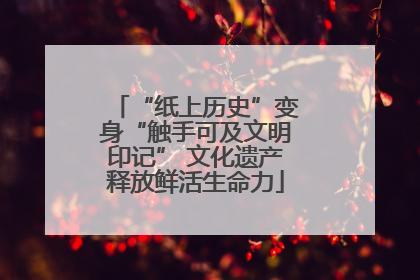 “纸上历史”变身“触手可及文明印记” 文化遗产释放鲜活生命力
