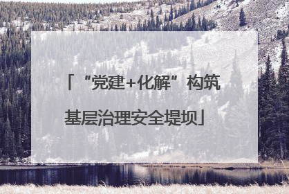 “党建+化解”构筑基层治理安全堤坝