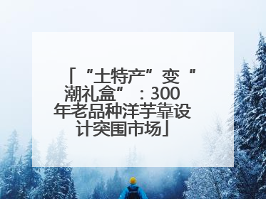“土特产”变“潮礼盒”：300年老品种洋芋靠设计突围市场