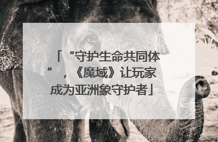 “守护生命共同体”，《魔域》让玩家成为亚洲象守护者