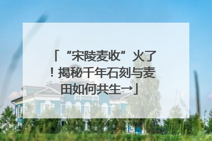 “宋陵麦收”火了！揭秘千年石刻与麦田如何共生→