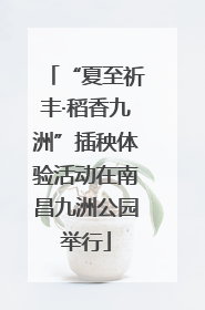 “夏至祈丰·稻香九洲”插秧体验活动在南昌九洲公园举行