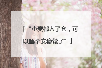“小麦都入了仓，可以睡个安稳觉了”