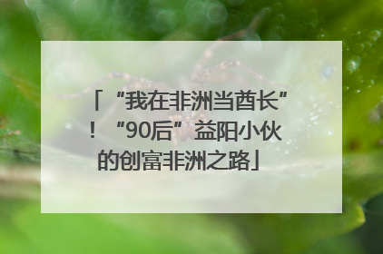 “我在非洲当酋长”！“90后”益阳小伙的创富非洲之路