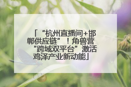 “杭州直播间+邯郸供应链”！角兽营“跨域双平台”激活鸡泽产业新动能