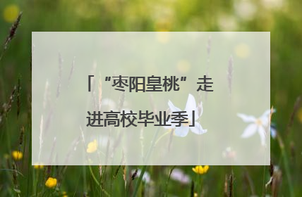 “枣阳皇桃”走进高校毕业季