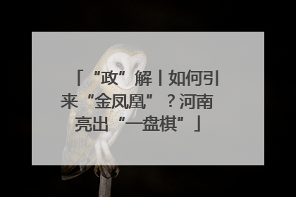 “政”解丨如何引来“金凤凰”？河南亮出“一盘棋”