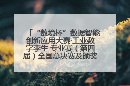 “数境杯”数据智能创新应用大赛·工业数字孪生 专业赛（第四届）全国总决赛及颁奖典礼成功举办