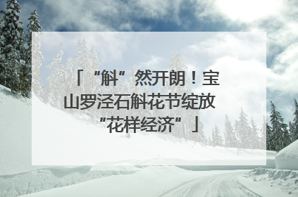 “斛”然开朗！宝山罗泾石斛花节绽放“花样经济”