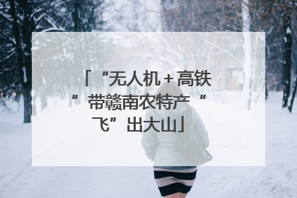 “无人机＋高铁”带赣南农特产“飞”出大山