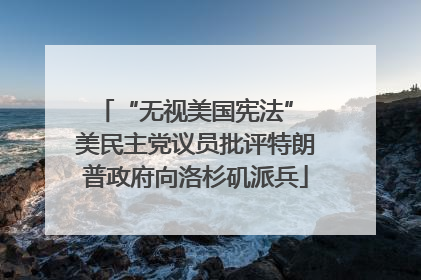 “无视美国宪法” 美民主党议员批评特朗普政府向洛杉矶派兵