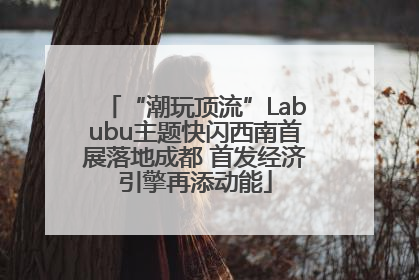“潮玩顶流”Labubu主题快闪西南首展落地成都 首发经济引擎再添动能