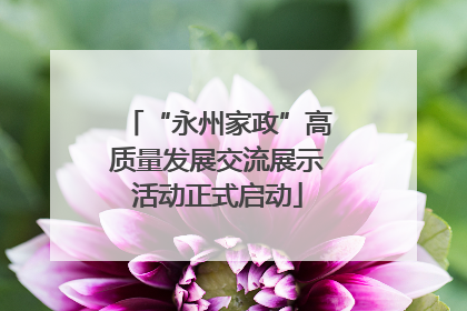 “永州家政”高质量发展交流展示活动正式启动
