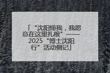 “沈阳懂我，我愿意在这里扎根”——2025“博士沈阳行”活动侧记
