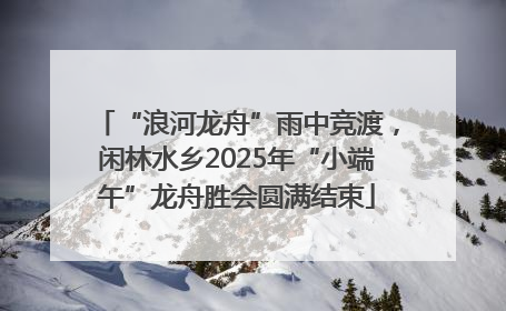 “浪河龙舟”雨中竞渡，闲林水乡2025年“小端午”龙舟胜会圆满结束