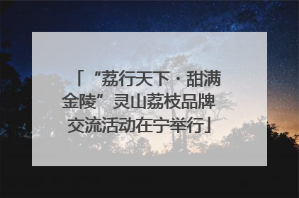 “荔行天下・甜满金陵”灵山荔枝品牌交流活动在宁举行