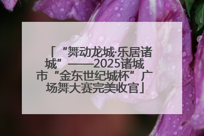 “舞动龙城·乐居诸城”——2025诸城市“金东世纪城杯”广场舞大赛完美收官