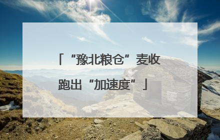 “豫北粮仓”麦收跑出“加速度”