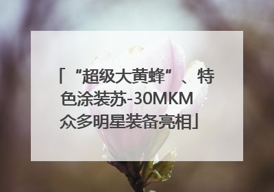 “超级大黄蜂”、特色涂装苏-30MKM 众多明星装备亮相
