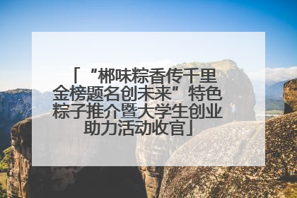 “郴味粽香传千里 金榜题名创未来”特色粽子推介暨大学生创业助力活动收官