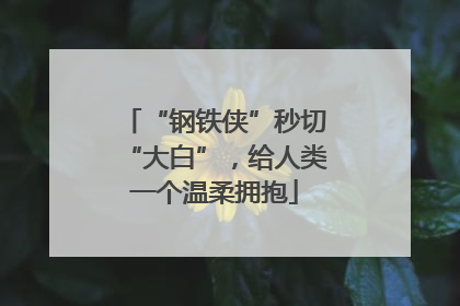 “钢铁侠”秒切“大白”，给人类一个温柔拥抱