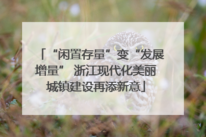 “闲置存量”变“发展增量” 浙江现代化美丽城镇建设再添新意
