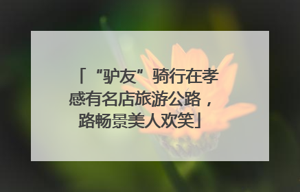“驴友”骑行在孝感有名店旅游公路，路畅景美人欢笑