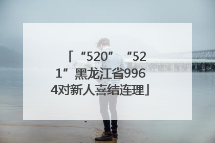 “520”“521”黑龙江省9964对新人喜结连理