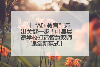 “AI+教育”迈出关键一步！叶县晨德学校打造智慧双师课堂新范式
