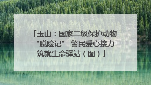 玉山：国家二级保护动物“脱险记” 警民爱心接力筑就生命驿站（图）