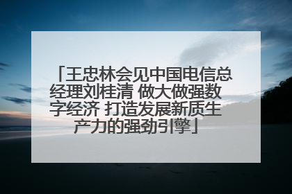 王忠林会见中国电信总经理刘桂清 做大做强数字经济 打造发展新质生产力的强劲引擎