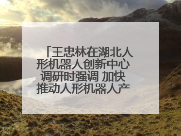 王忠林在湖北人形机器人创新中心调研时强调 加快推动人形机器人产业高质量发展 打造具有全国影响力的研发创新基地