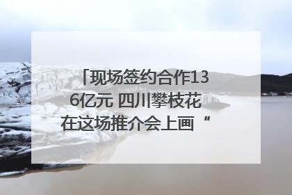 现场签约合作136亿元 四川攀枝花在这场推介会上画“图谱”列“清单”