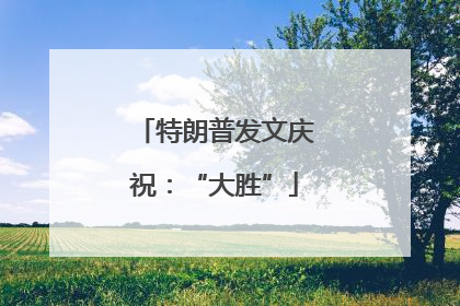 特朗普发文庆祝：“大胜”