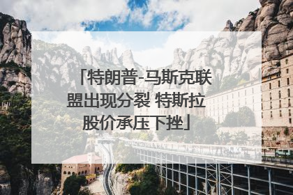 特朗普-马斯克联盟出现分裂 特斯拉股价承压下挫