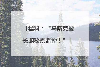 猛料：“马斯克被长期秘密监控！”