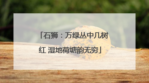 石狮：万绿丛中几树红 湿地荷塘韵无穷