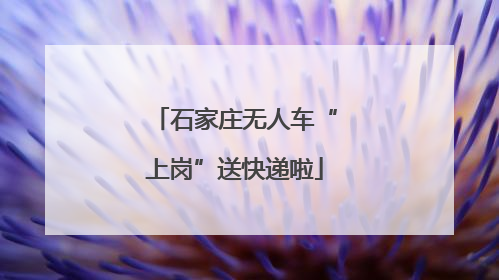 石家庄无人车“上岗”送快递啦